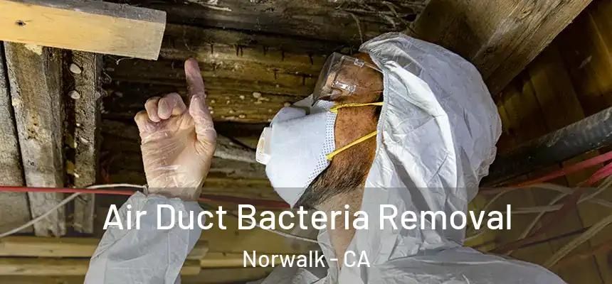  Air Duct Bacteria Removal Norwalk - CA