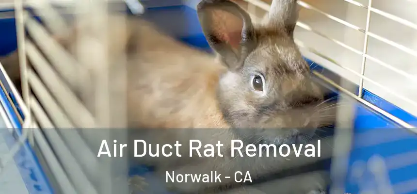  Air Duct Rat Removal Norwalk - CA