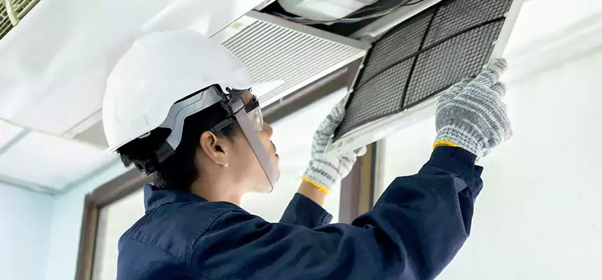 Our Mold & Mildew Removal from Air Ducts Services in Norwalk, CA