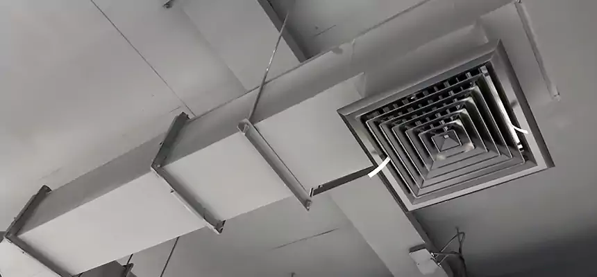 Our Rodent Droppings In Vents Services in Norwalk, CA