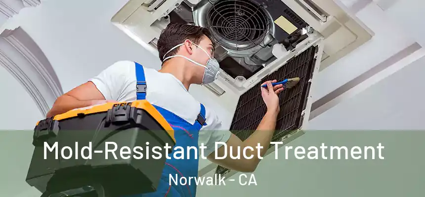  Mold-Resistant Duct Treatment Norwalk - CA