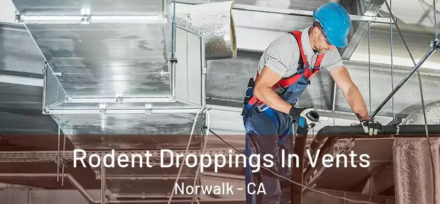  Rodent Droppings In Vents Norwalk - CA
