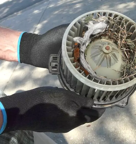 About Air Duct Rat Removal in Norwalk, CA