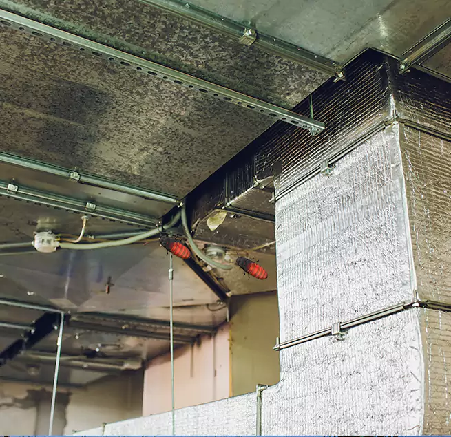 Why Homeowners & Businesses Trust Us in Norwalk, CA?