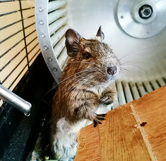 Why Homeowners & Businesses Trust Us Norwalk, CA?