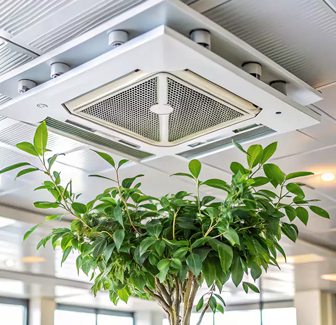 Why Homeowners & Businesses Trust Us in Norwalk, CA